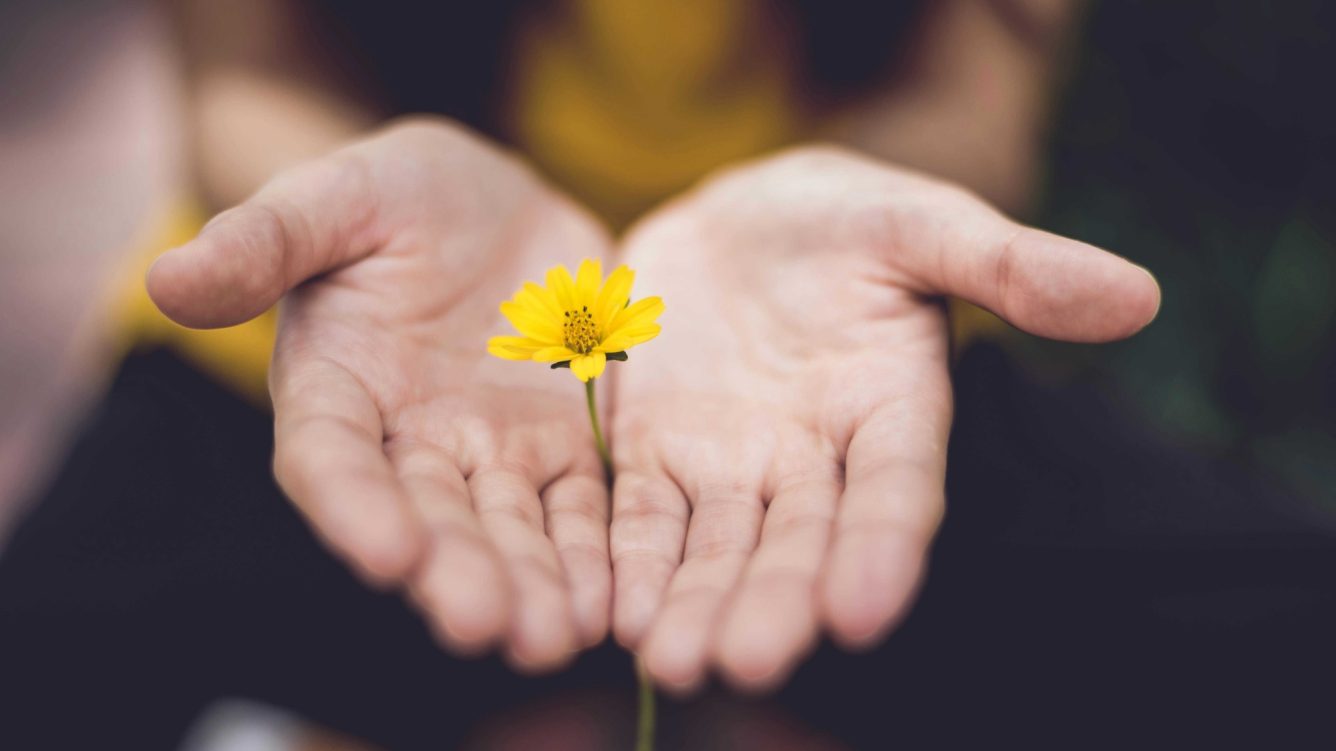 Flower in hands image
